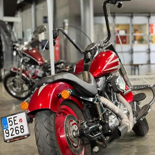 277799731_286128817031092_2050432369587383083_n